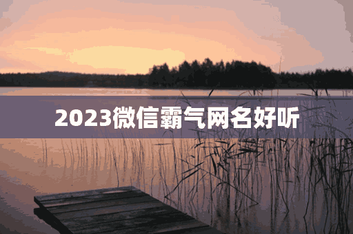 2023微信霸气网名好听(2022年微信名字霸气的)